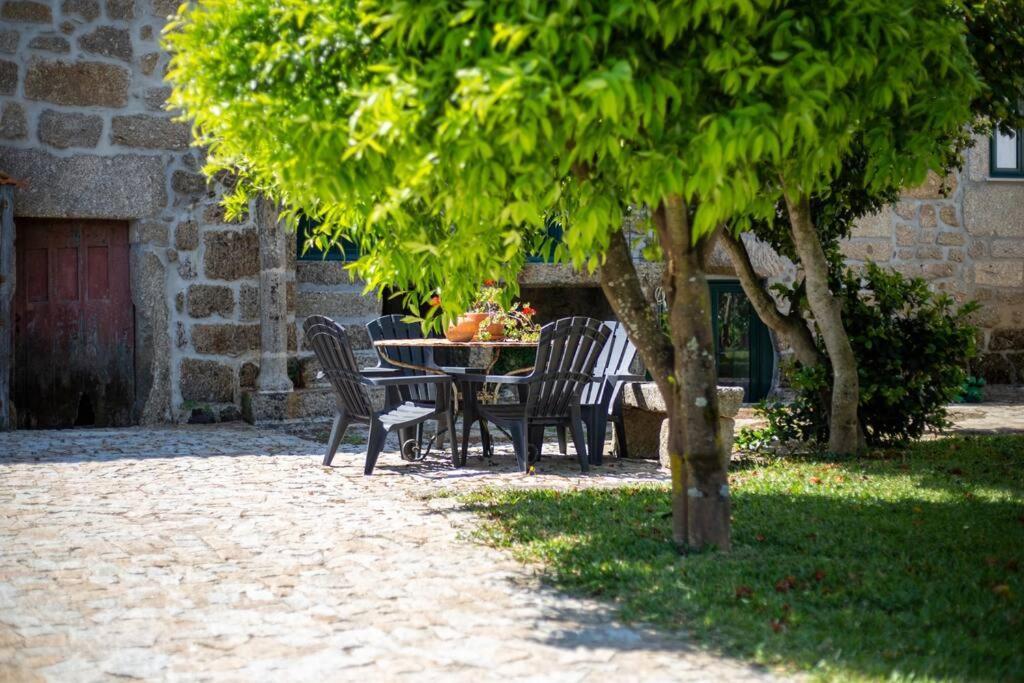 The Big House-Grand Comfort At Serra Da Estrella 고베이아 외부 사진